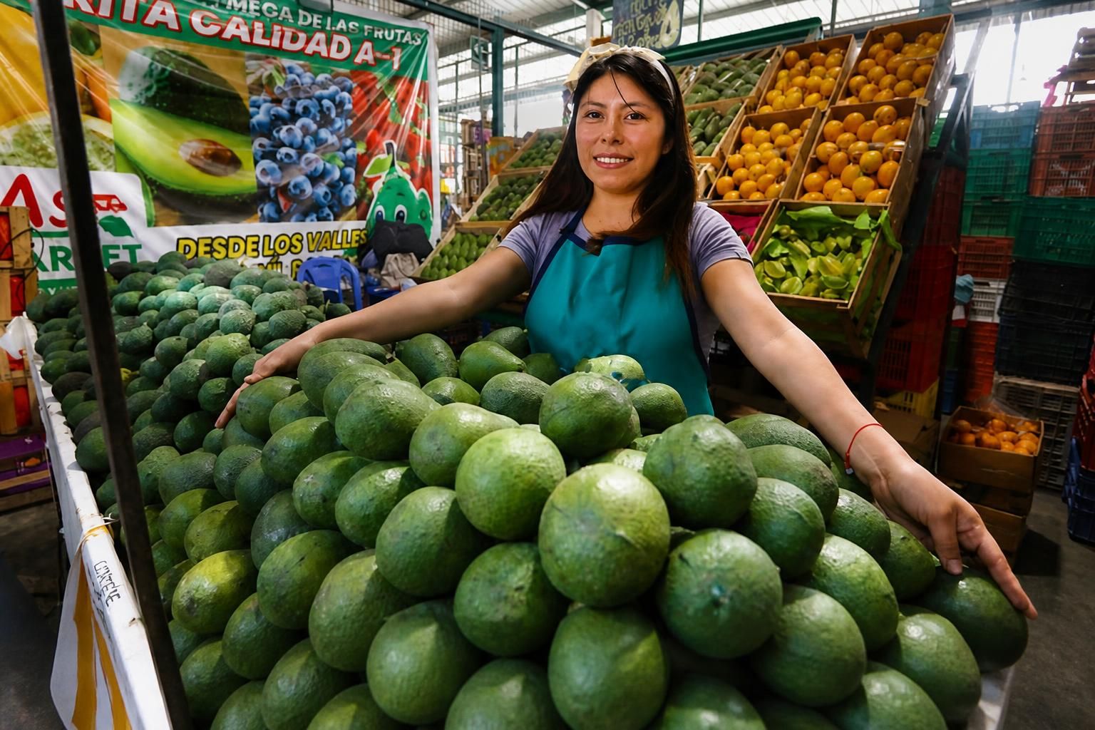 Día Nacional de la Palta: MIDAGRI promueve consumo de 2,99 kilos por persona al año