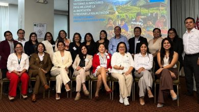 Digesa y UNICEF analizan sistemas alimentarios saludables en mesa multisectorial
