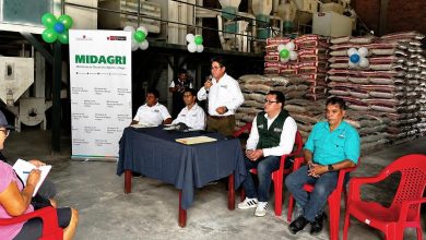 Midagri concreta primera compra de arroz a pequeños productores de Loreto