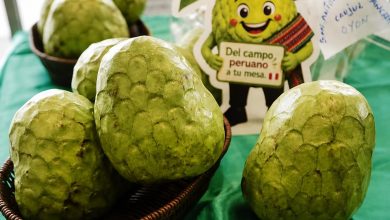 Midagri: producción de chirimoya supera las 27 mil toneladas; exportaciones: US$ 2.8 millones