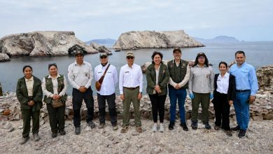 Minam activa plan de prevención ante El Niño para proteger biodiversidad de Paracas