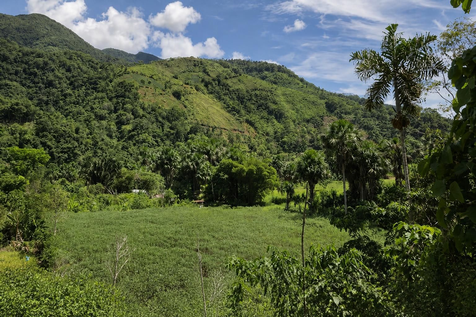 Minam reconoce nueva Área de Conservación Privada en Junín para proteger su biodiversidad