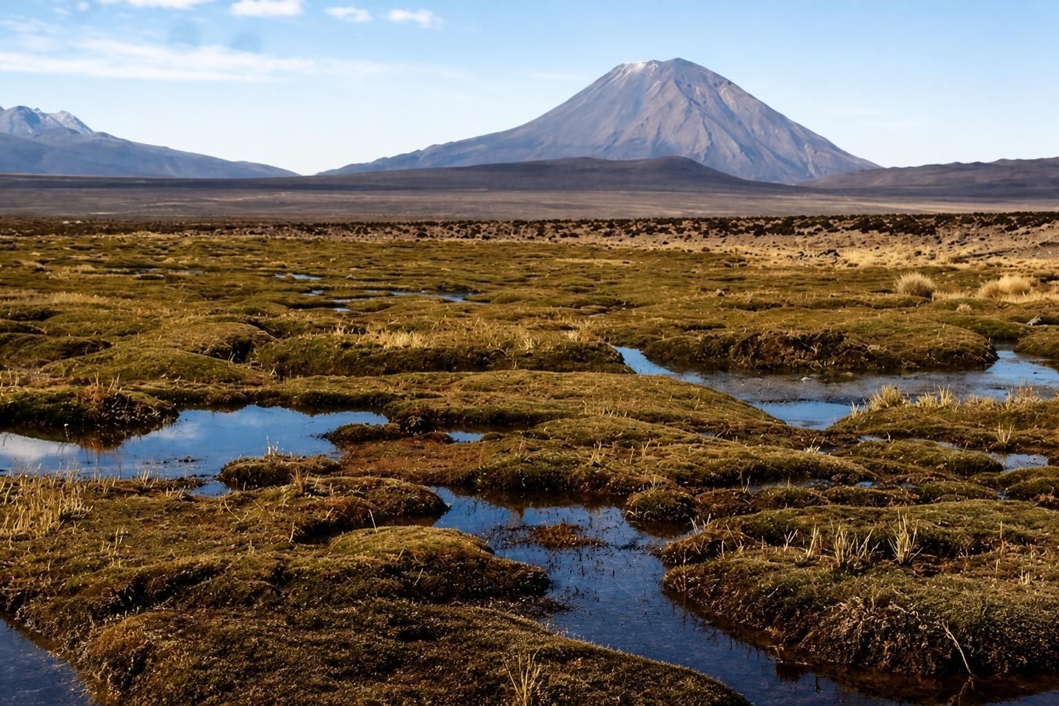 Minam recupera ecosistemas altoandinos para seguridad hídrica ante el FEN