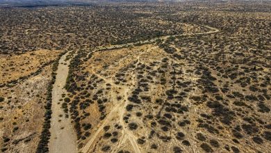 Minam viene recuperando bosques secos de la costa norte frente a lluvias intensas