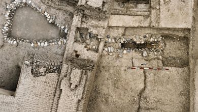Ministerio de Cultura: hallan restos humanos de aproximadamente 1400 años en Huaca Pucllana