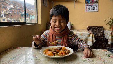 Minsa: una dieta variada ayuda a proteger a los niños en la temporada de frío