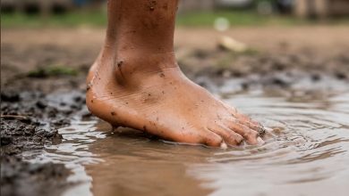 Paso a paso: Minsa brinda recomendaciones para protegernos del dengue y la leptospirosis