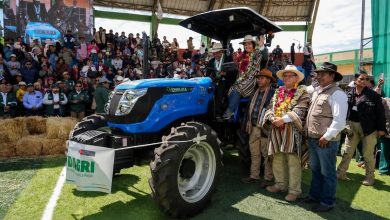 Puno: Midagri anuncia nueva oficina en Macusani para atender a productores de camélidos