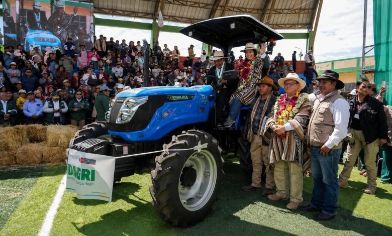 Puno: Midagri anuncia nueva oficina en Macusani para atender a productores de camélidos