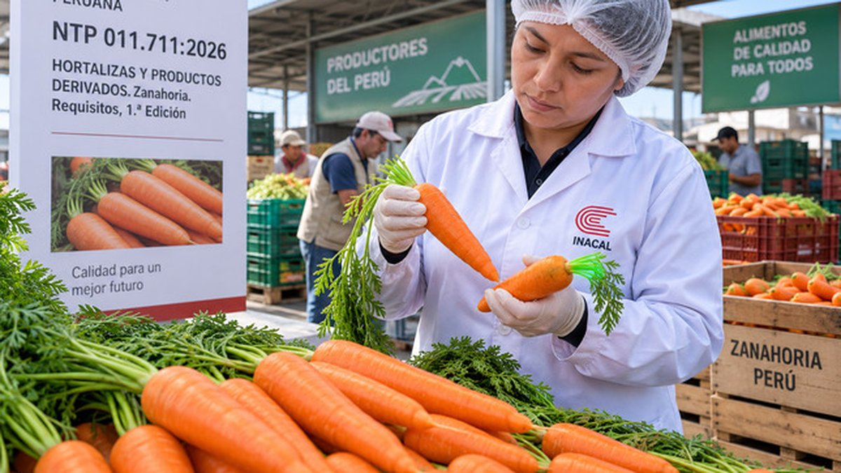 Inacal aprueba nueva norma técnica para mejorar la calidad de la zanahoria en el Perú