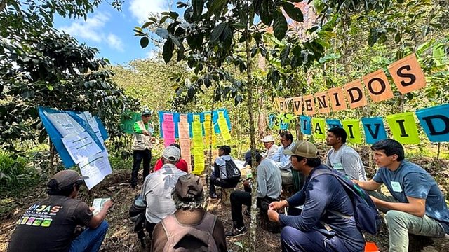 Cusco: 150 cafetaleros de Quellouno mejoran sus oportunidades comerciales