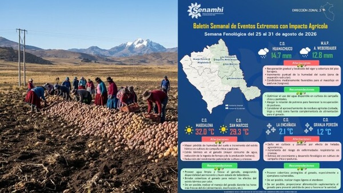 Senamhi informa efectos de las condiciones meteorológicas en cultivos y ganado de Cajamarca y La Libertad