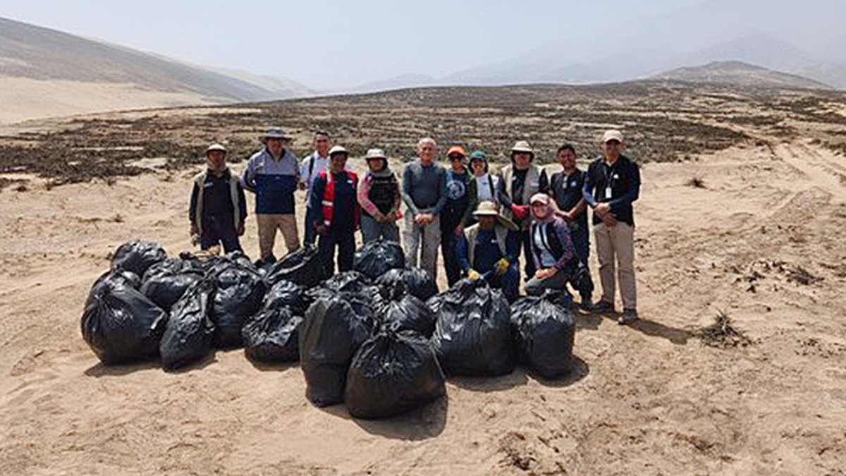 Minam impulsa conservación de tillandsias en el Parque Ecológico Nacional “Papa León XIV”