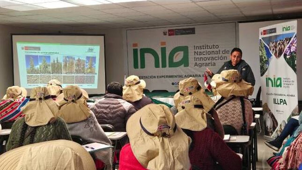 Senamhi fortalece capacidades de productores de Ácora mediante intercambio de experiencias agroclimáticas en Puno