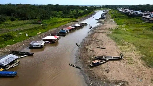 Cambio climático y El Niño: cómo reducir los impactos de la sequía en la pesca y la piscicultura amazónica