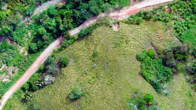 San Martín: Minam entrega estudio para recuperar áreas degradadas y prevenir riesgos de desastres