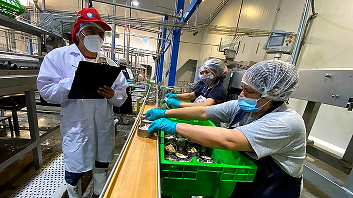 PRODUCE: Emisión de registros sanitarios crece 27.9 % e impulsa la comercialización segura de productos hidrobiológicos