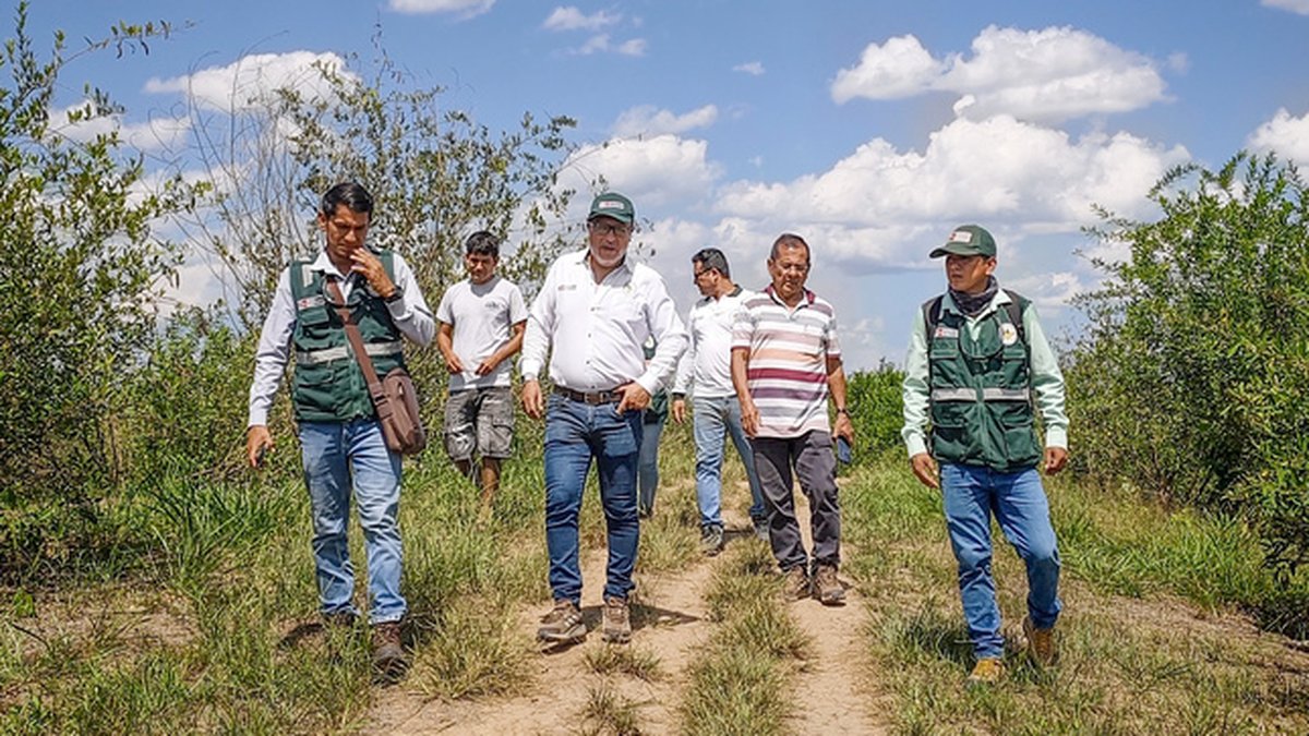 PEAH constata avances de proyectos de recuperación de suelos y reforestación en San Martín y Huánuco