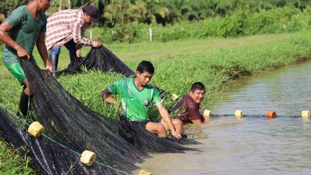 PRODUCE prepara al sector acuícola para enfrentar los efectos del Fenómeno El Niño y proteger la producción nacional