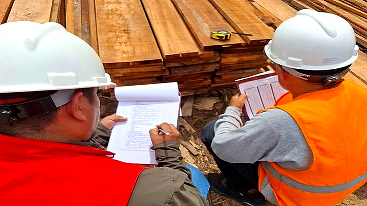 ITP reconoce la experiencia de trabajadores forestales a través de la Certificación De Competencias Laborales