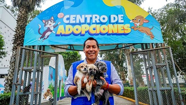 Día Mundial del Perro Adoptado: Municipalidad de Lima promueve la adopción responsable y el cuidado de los animales de compañía