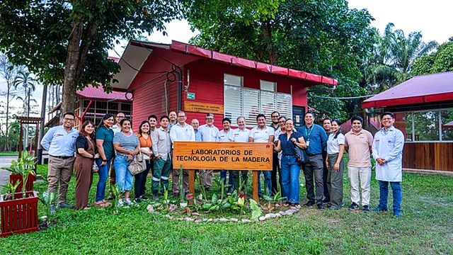 PRODUCE fortalece la cadena forestal con servicio especializado para identificar especies de madera en Ucayali