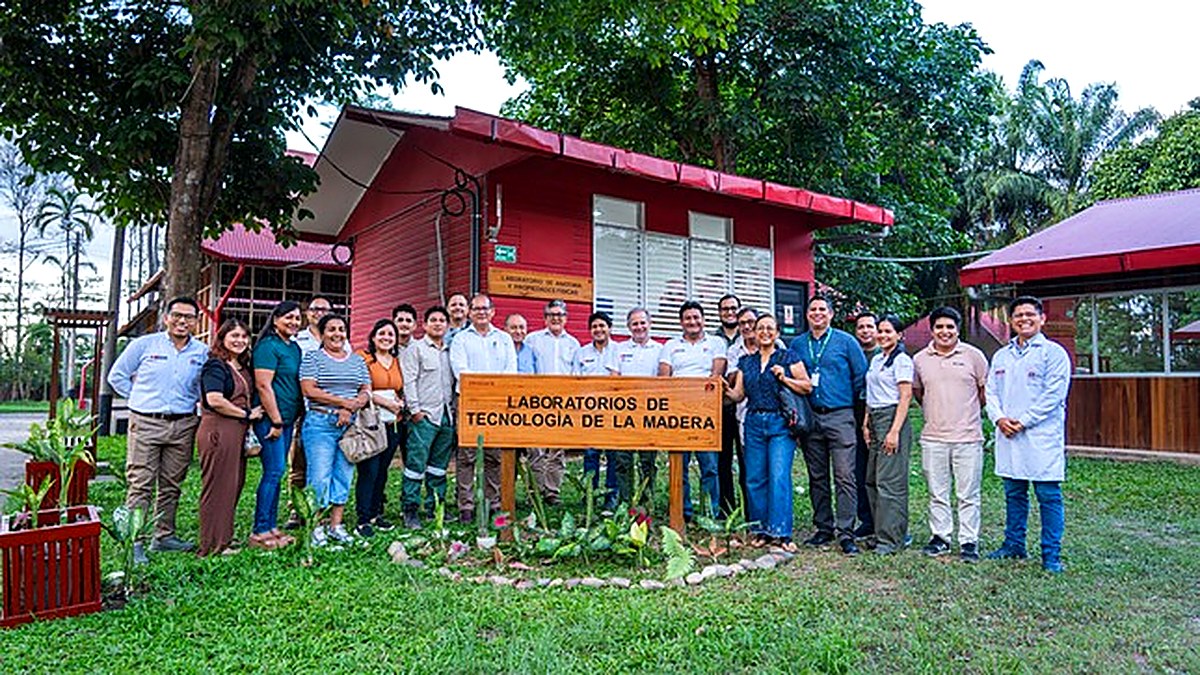 PRODUCE fortalece la cadena forestal con servicio especializado para identificar especies de madera en Ucayali