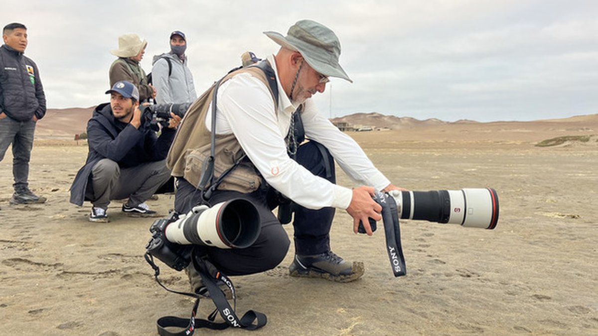 Sernanp: Fotógrafos latinoamericanos mostrarán al mundo la biodiversidad de la Reserva Nacional de Paracas