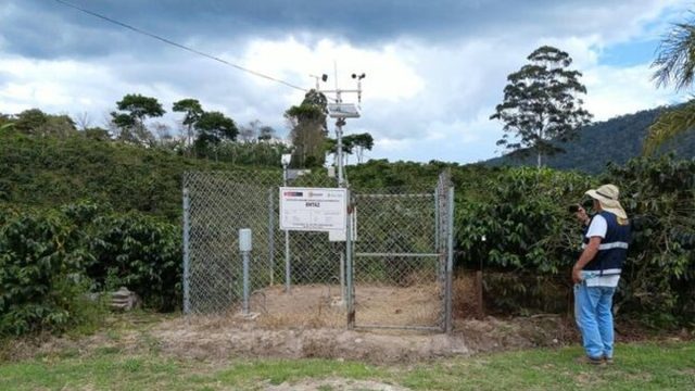 Senamhi y productores de Villa Rica diseñan servicio agrometeorológico para fortalecer el cultivo de café