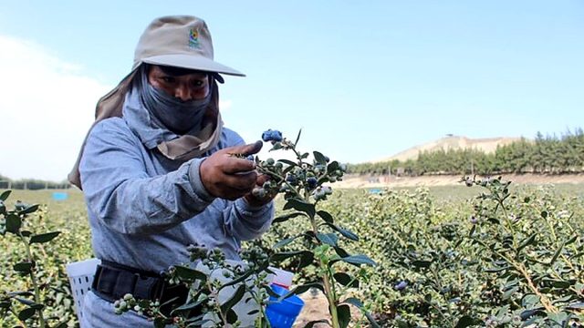 La Libertad: PROINVERSIÓN impulsa facilitación de inversiones privadas en agroindustria, manufactura, logística y energía