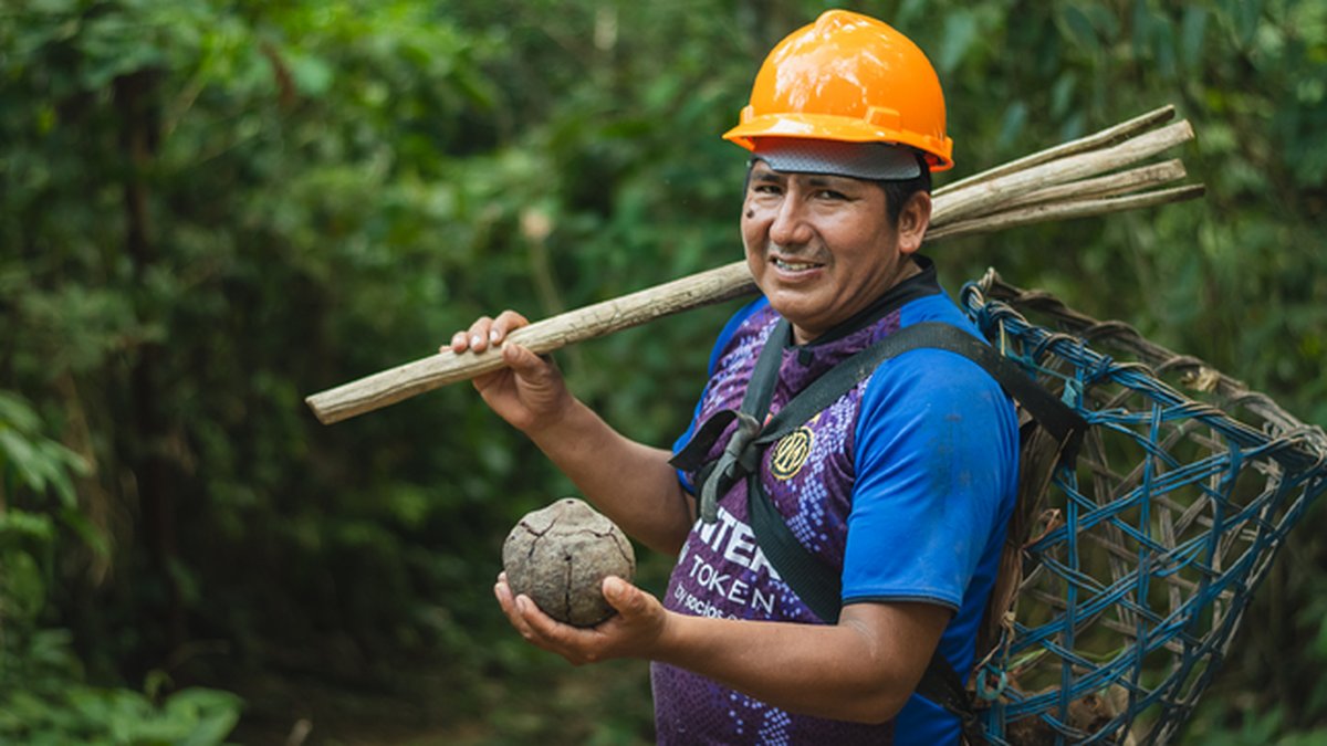 Festival de la Castaña reunirá en Madre de Dios a productores que conservan sus bosques con apoyo del Minam