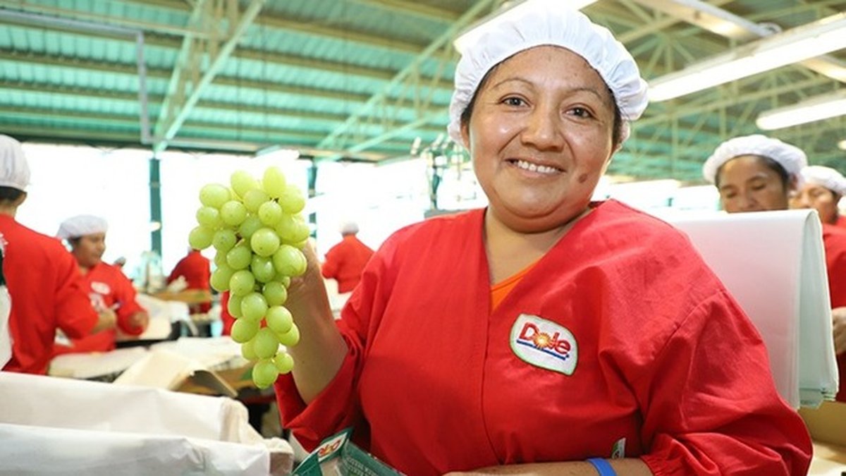Uvas peruanas alcanzan US$ 790 millones en exportaciones