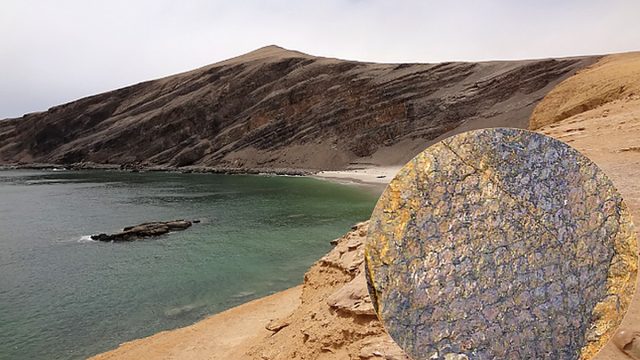 INGEMMET presenta investigaciones sobre el patrimonio paleobotánico del Perú en simposio internacional realizado en Argentina
