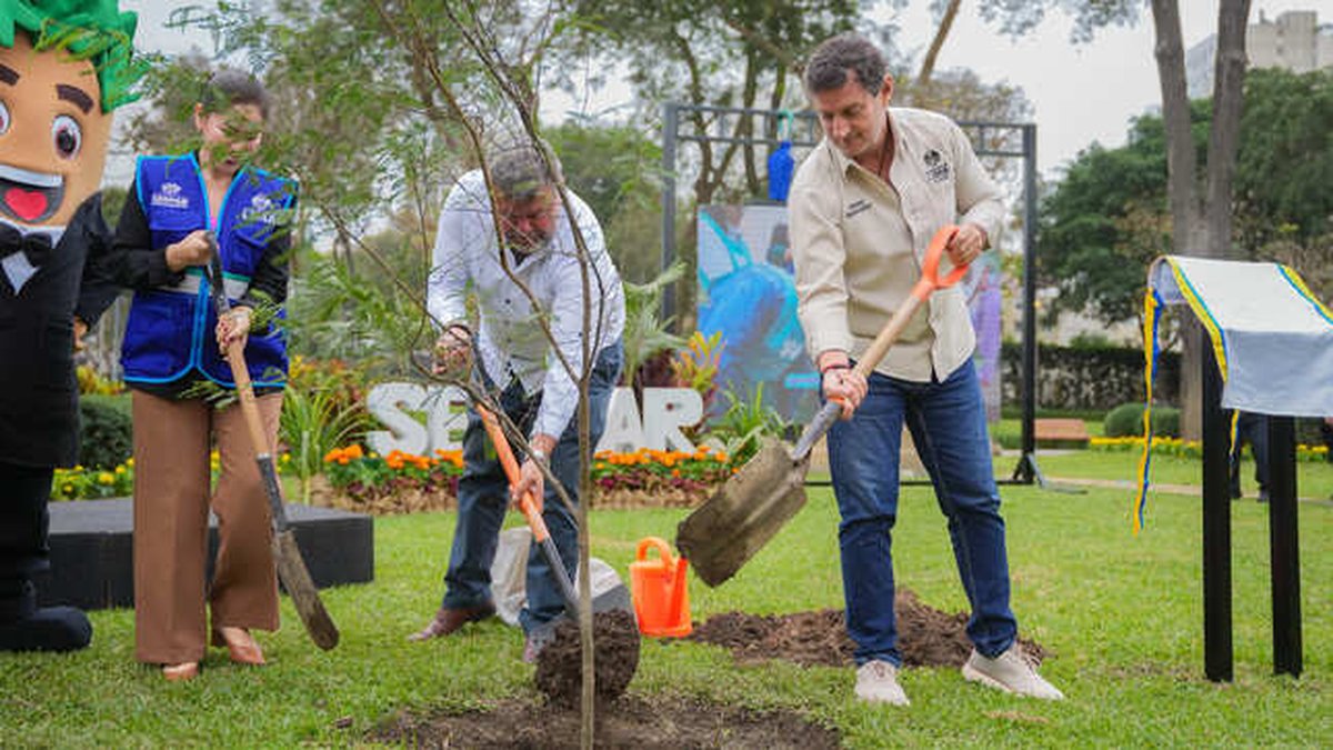 ¡Un millón de árboles plantados! Municipalidad de Lima cumple meta de arborización urbana y amplía las áreas verdes en 44 distritos