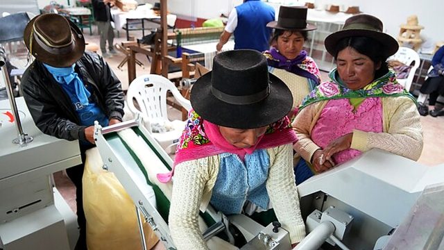Artesanos transformarán fibra de  alpaca en productos de alta calidad