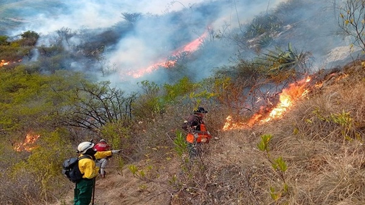 Extinguen 4 incendios forestales en Áncash, Apurímac y San Martín
