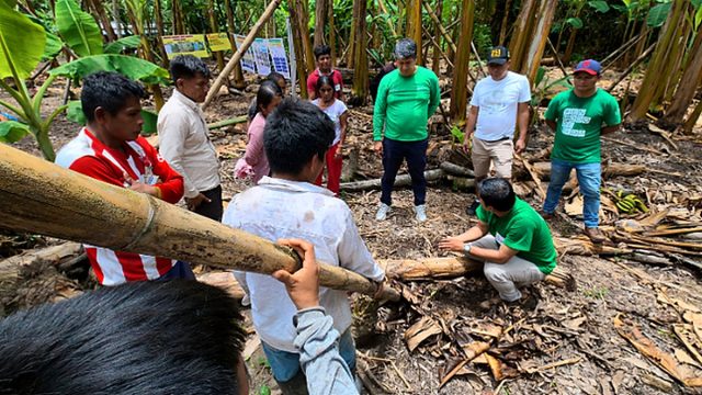 Amazonas: DEVIDA brinda asistencia técnica a 48 familias wampis productoras de plátano en Río Santiago