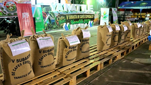 Un quintal de café de Cusco se vendió en récord de S/ 15,900 en Yanatile, Calca