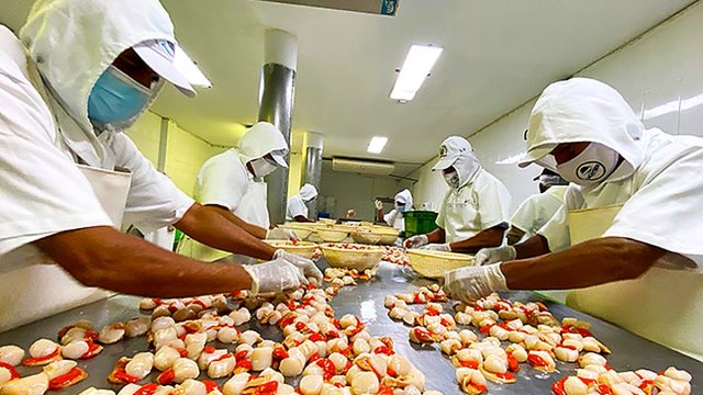Sanipes e INVIMA de Colombia realizan intercambio técnico para fortalecer el control sanitario en productos pesqueros y acuícolas