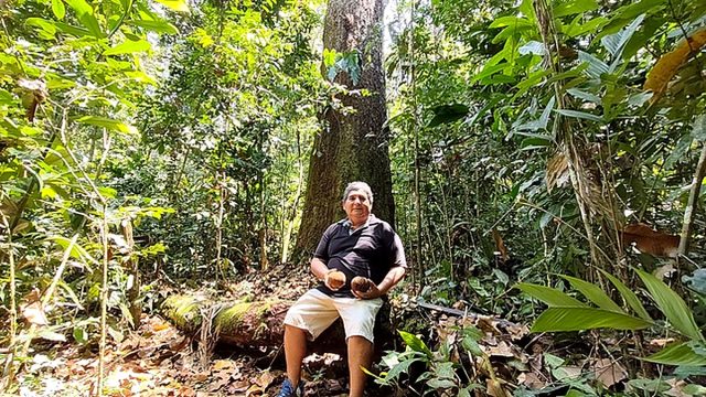 Legado familiar: más de 50 años recolectando castaña