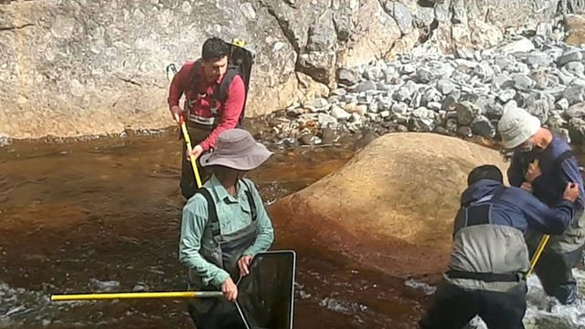 Expedición científica estudia peces de las cuencas de los ríos Chamaya y Utcubamba