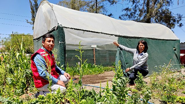 Arequipa: PAE destaca buenas prácticas de seguridad y alimentación saludable en institución educativa de Paucarpata