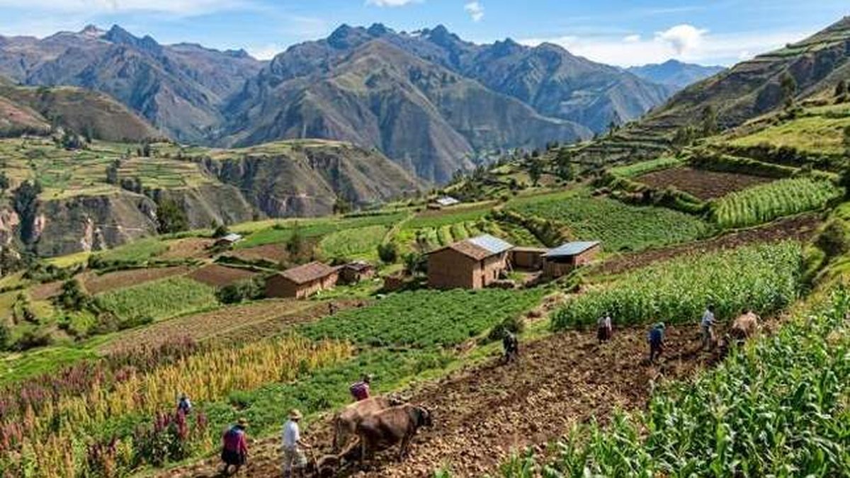 Senamhi informa condiciones agrometeorológicas para Cajamarca y La Libertad del 4 al 12 de setiembre