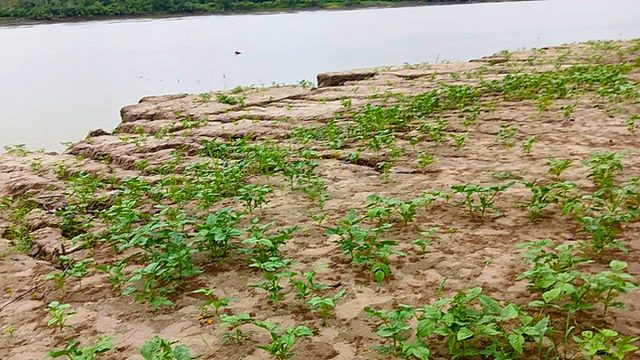 ¿Cómo aprovechar las zonas inundables de la Amazonía? IIAP y senadora Iturregui abren debate legislativo en Iquitos