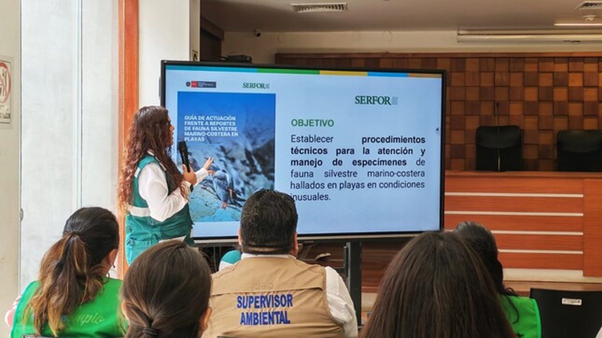 Chincha: Serfor fortalece capacidades del personal municipal para la atención de fauna silvestre marino-costera