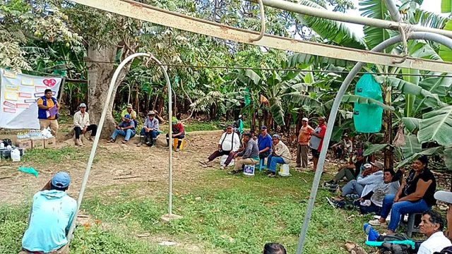 Gore Piura fortalece capacidades de productores de Samán para el Manejo Fitosanitario del Banano