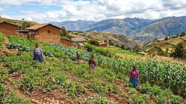 Senamhi informa condiciones agrometeorológicas para Cajamarca y La Libertad del 25 de setiembre al 3 de octubre