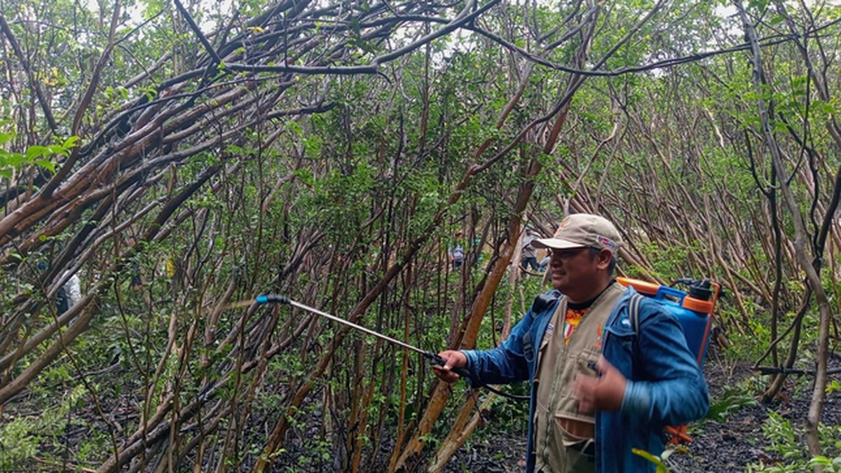 MINAM: IIAP plantea medidas ante escasez de agua que amenaza cultivos de la selva baja