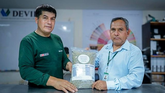 Huánuco: Café de Cholón llegará a Alemania y se abre paso en mercados especializados