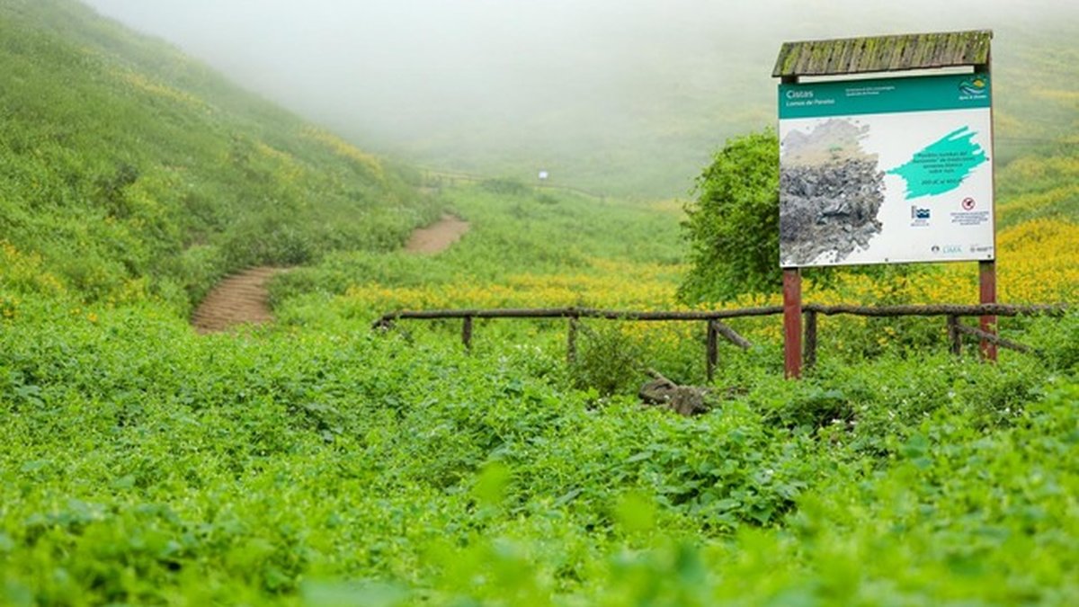 Municipalidad de Lima impulsa la promoción del turismo sostenible en el Área de Conservación Regional Sistema de Lomas de Lima